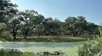 a river surrounded by trees